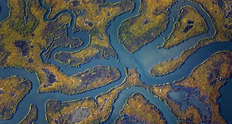 Aerial view of meandering waterways in a salt marsh on the Cape May Peninsula, New Jersey, U.S.A. (© Ingo Arndt/Corbis) &copy; (Bing Canada)