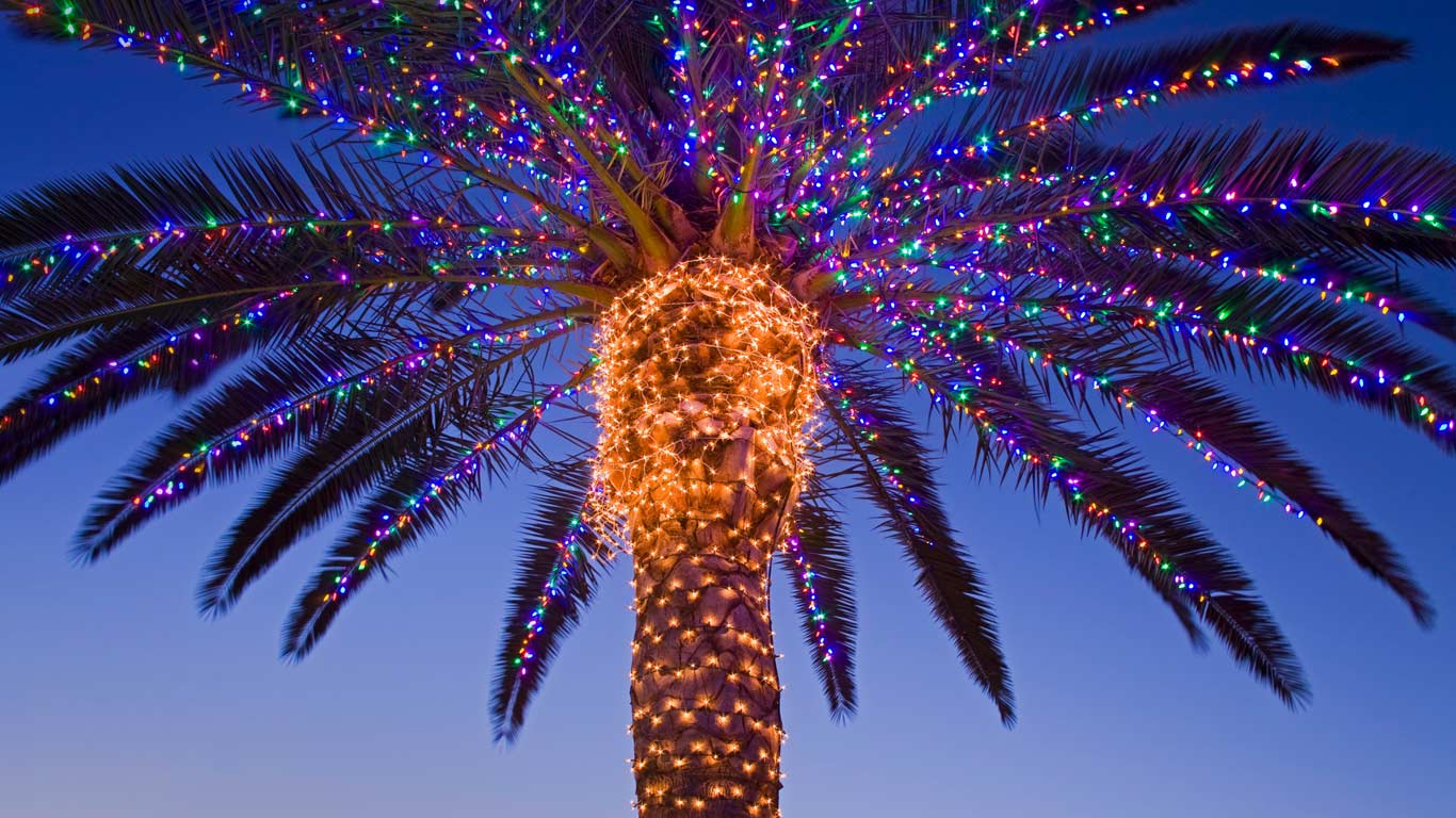 Christmas lights in a palm tree at a winery, Temecula Valley, California, USA (© Richard Cummins/Corbis)(Bing United Kingdom)
