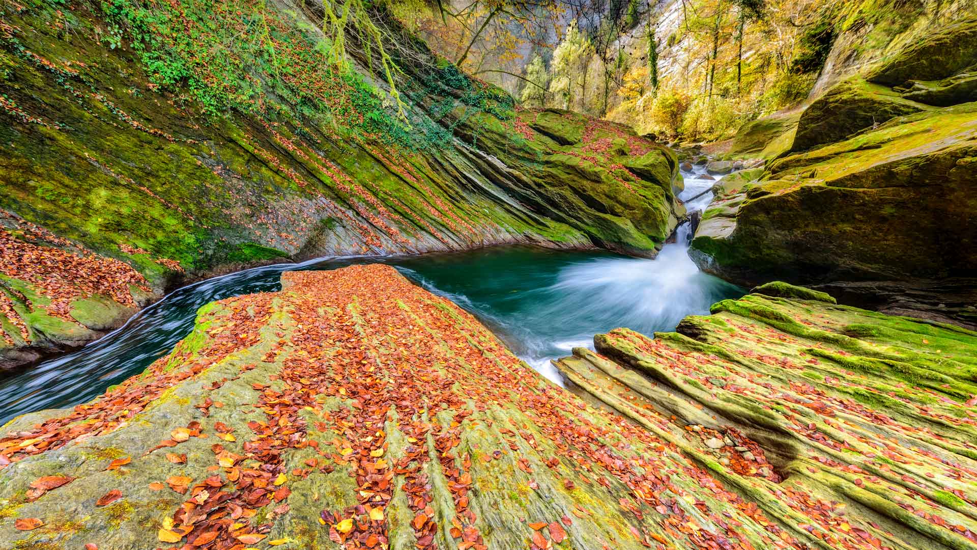 Le torrent Chéran s’écoulant au milieu des Alpes, Savoie (© Jean-Philippe Delobelle/Minden)(Bing France)