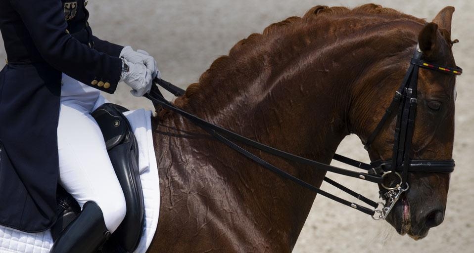 Dressage horse and rider (© imagebroker.net/SuperStock) &copy; (Bing Canada)