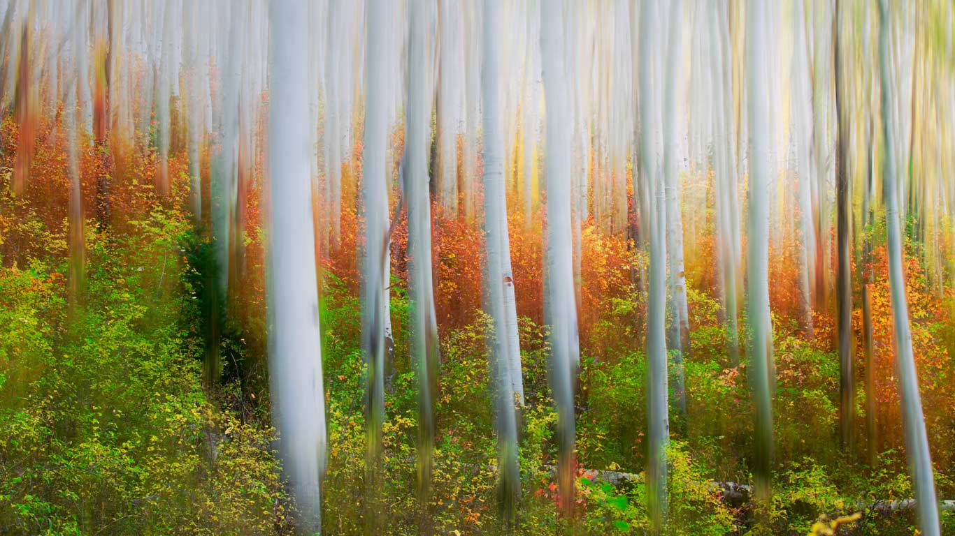 Iron Canyon Trail near Park City, Utah (© Patrick Brandenburg/Tandem Stills + Motion)(Bing United Kingdom)