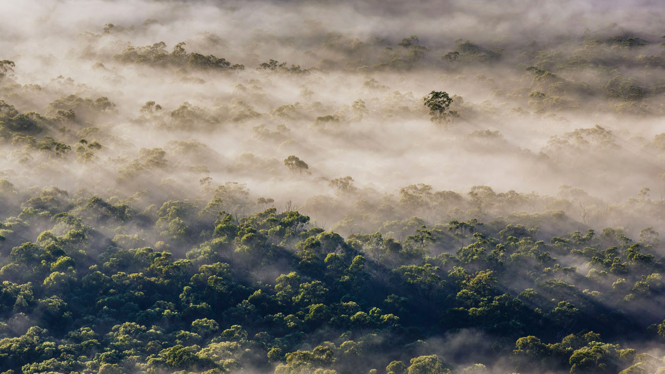 Fog in Megalong Valley, New South Wales, Australia (© Andrew Peacock/Tandem Stills + Motion)(Bing Australia)