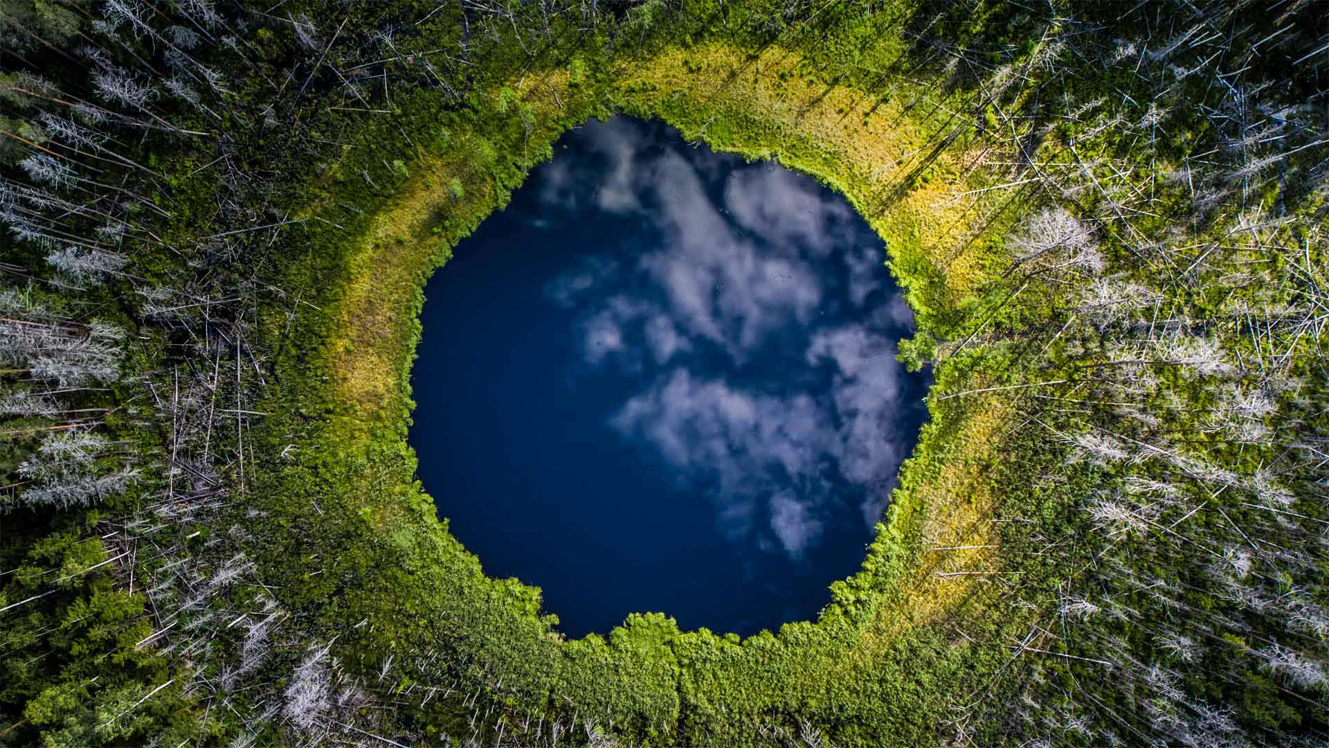 Small lake in Karula National Park, Valgamaa County, Estonia (© Sven Zacek/Minden Pictures)(Bing Canada)