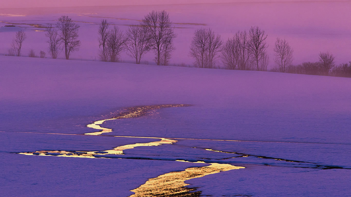 Coucher de soleil sur un champ enneigé en Suisse (© Alexander Dragunov/500px)(Bing France)
