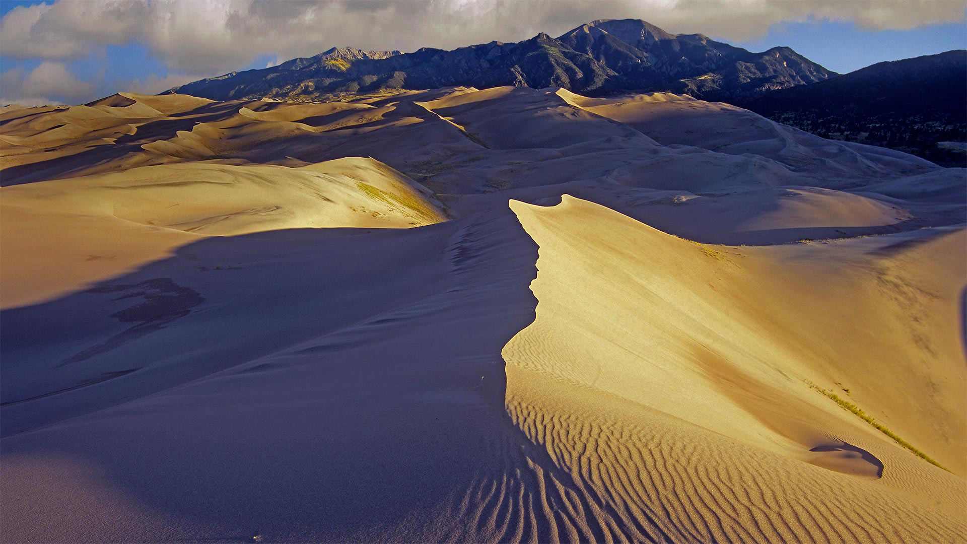 Sand dunes and Sangre de Cristo Mountains, Great Sand Dunes National Park and Preserve, Colorado, USA (© Tim Fitzharris/Minden Pictures)(Bing United Kingdom)