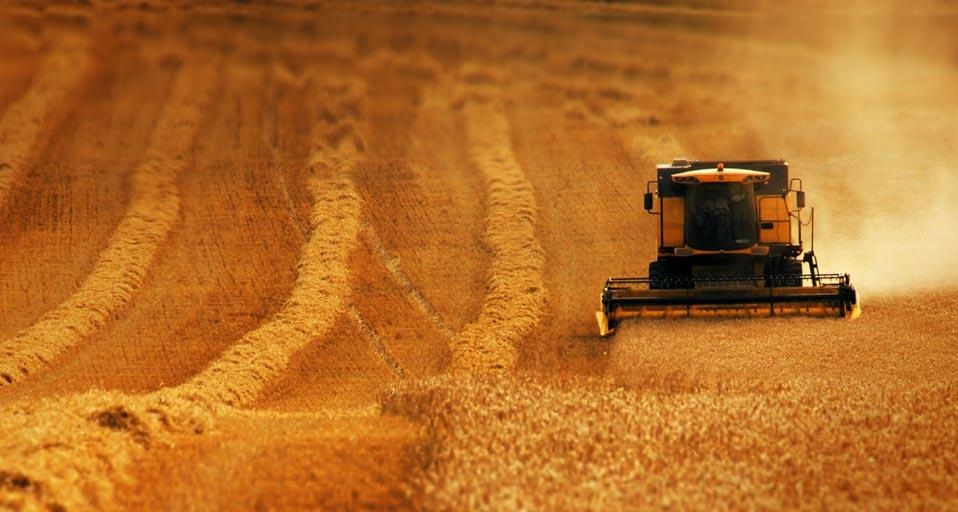 Combine harvester gathers the wheat crop, England (© Corbis Motion) &copy; (Bing United Kingdom)