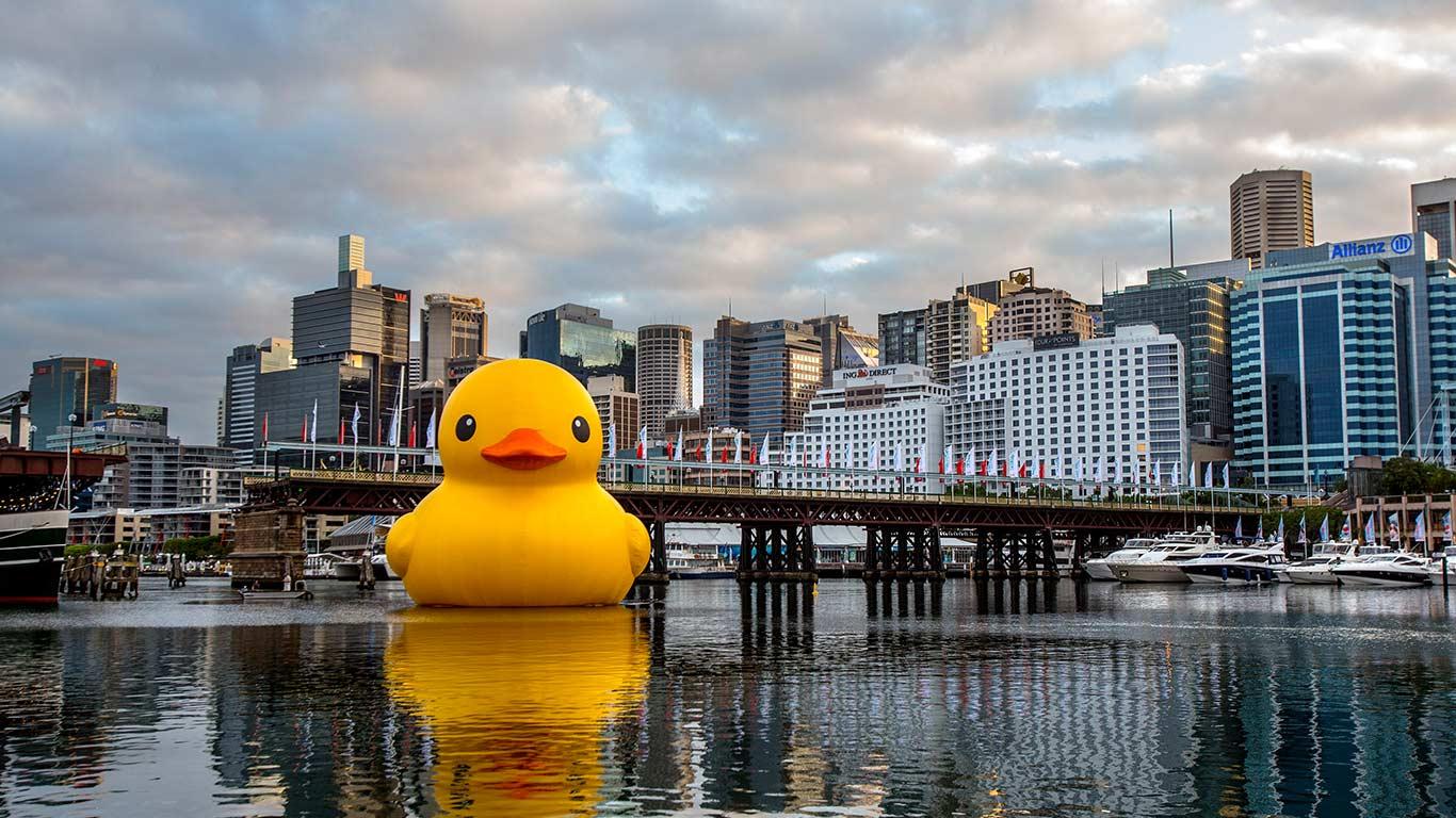 Giant rubber duck installation, Darling Harbour, Sydney, Australia (© Damian Shaw/Corbis)(Bing United Kingdom)