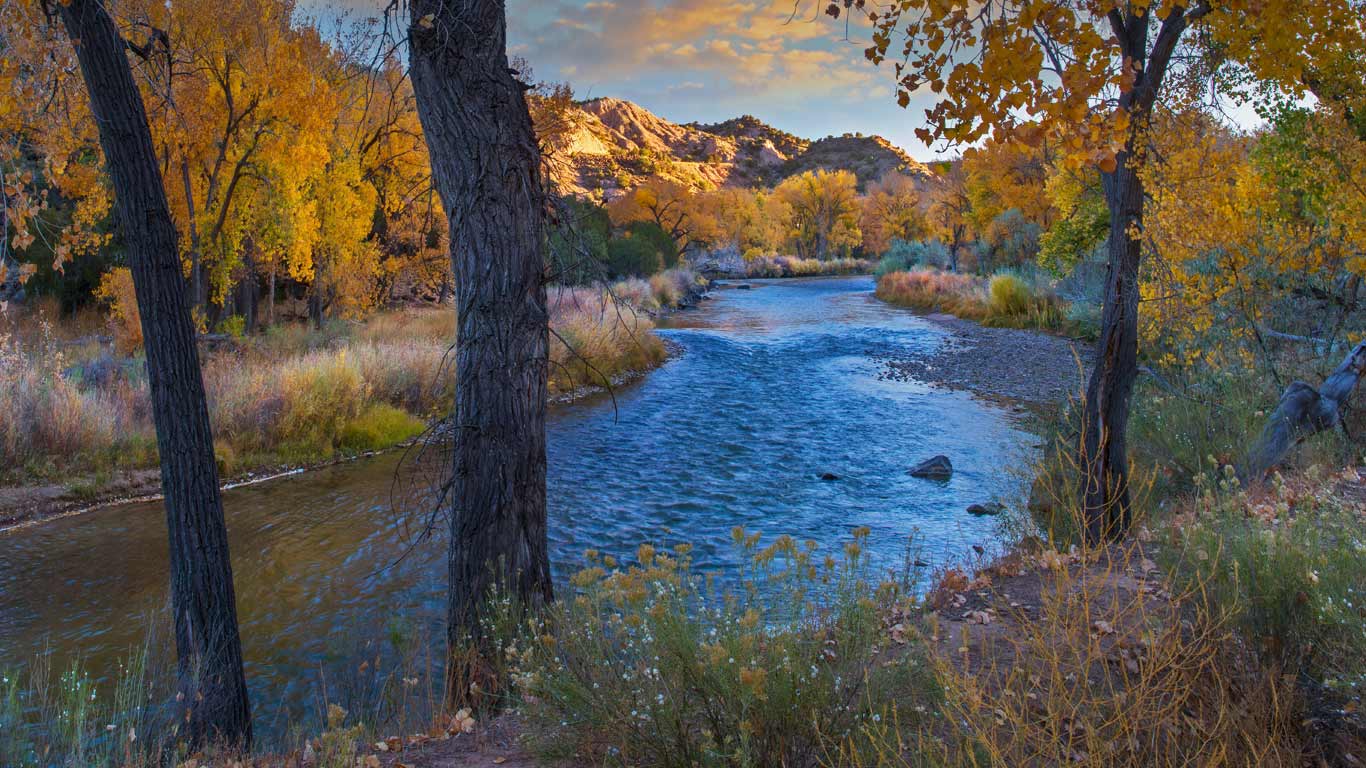 Cottonwood trees along the Rio Grande in autumn, New Mexico, USA (© Tim Fitzharris/Minden Pictures)(Bing United Kingdom)