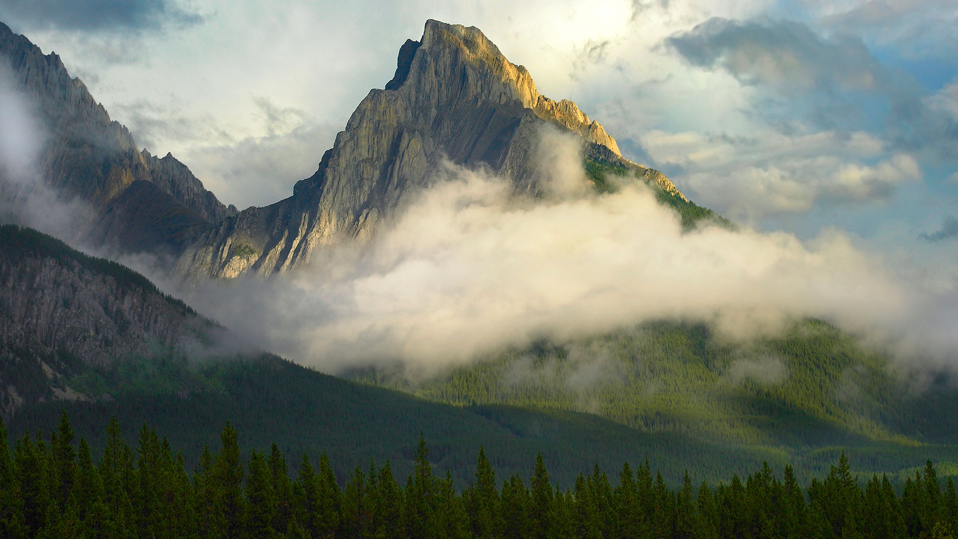 Opal Range surrounded by fog, Kananaskis Country, Alberta (© Tim Fitzharris/Minden Pictures)(Bing Canada)