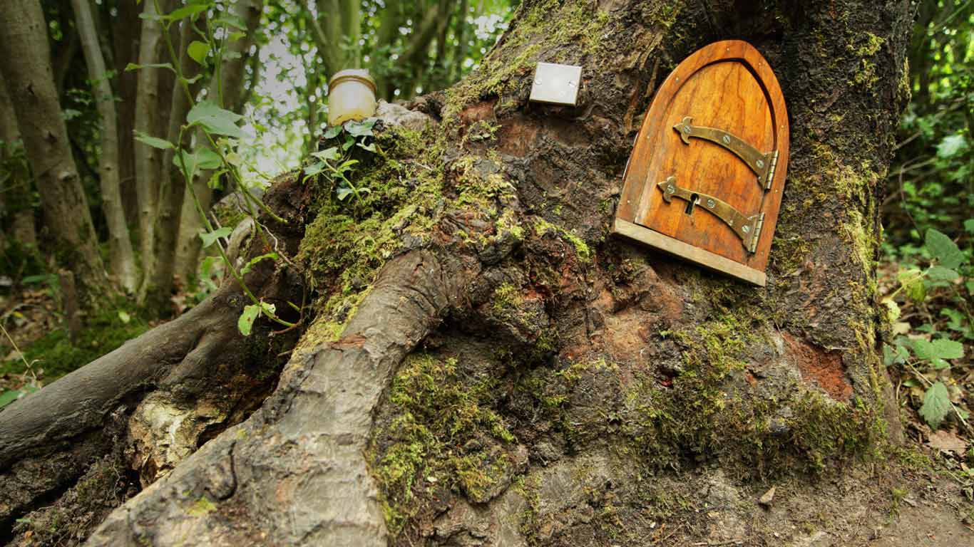Ashdown Forest, home of Winnie-the-Pooh (© Mark Phillips/Alamy)(Bing United Kingdom)