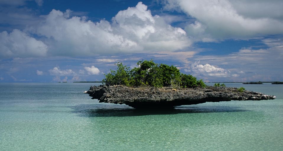 Aldabra Atoll, Seychelles -- Ralph Lee Hopkins/Getty Images &copy; (Bing Canada)