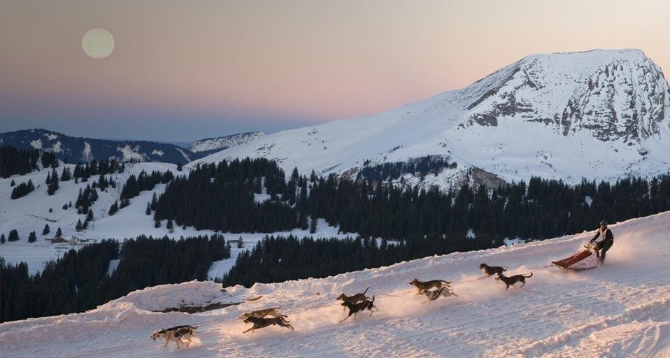 Un concurrent de la course internationale de chien de traîneaux La Grande Odyssée Savoie-Mont-Blanc, département de Haute-Savoie, Rhônes-Alpes (© Christian Goupi/Age Fotostock/SuperStock) &copy; (Bing France)