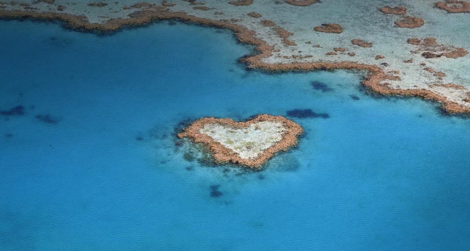 Heart Reef, part of the Great Barrier Reef  in Queensland, Australia --  Michael Weber/Photolibrary &copy; (Bing United Kingdom)