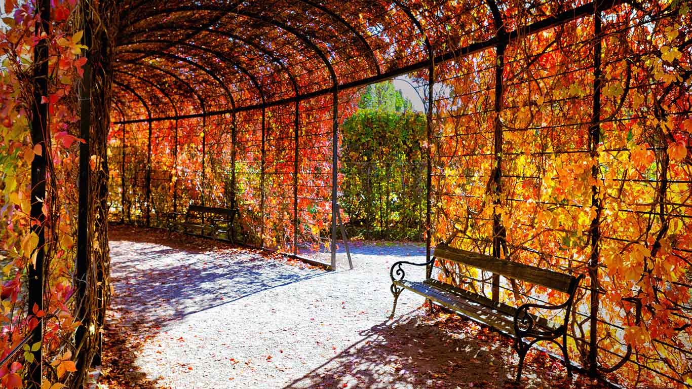 Autumn foliage, Schoenbrunn Palace, Vienna, Austria (© Zoonar GmbH/Alamy)(Bing United States)