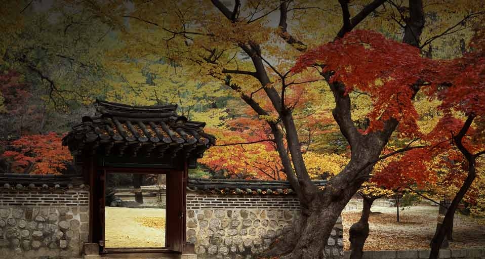 Garden at Changdeokgung Palace, Korea, a World heritage site -- Yoshio Tomii Photo Studio/Photolibrary &copy; (Bing United Kingdom)