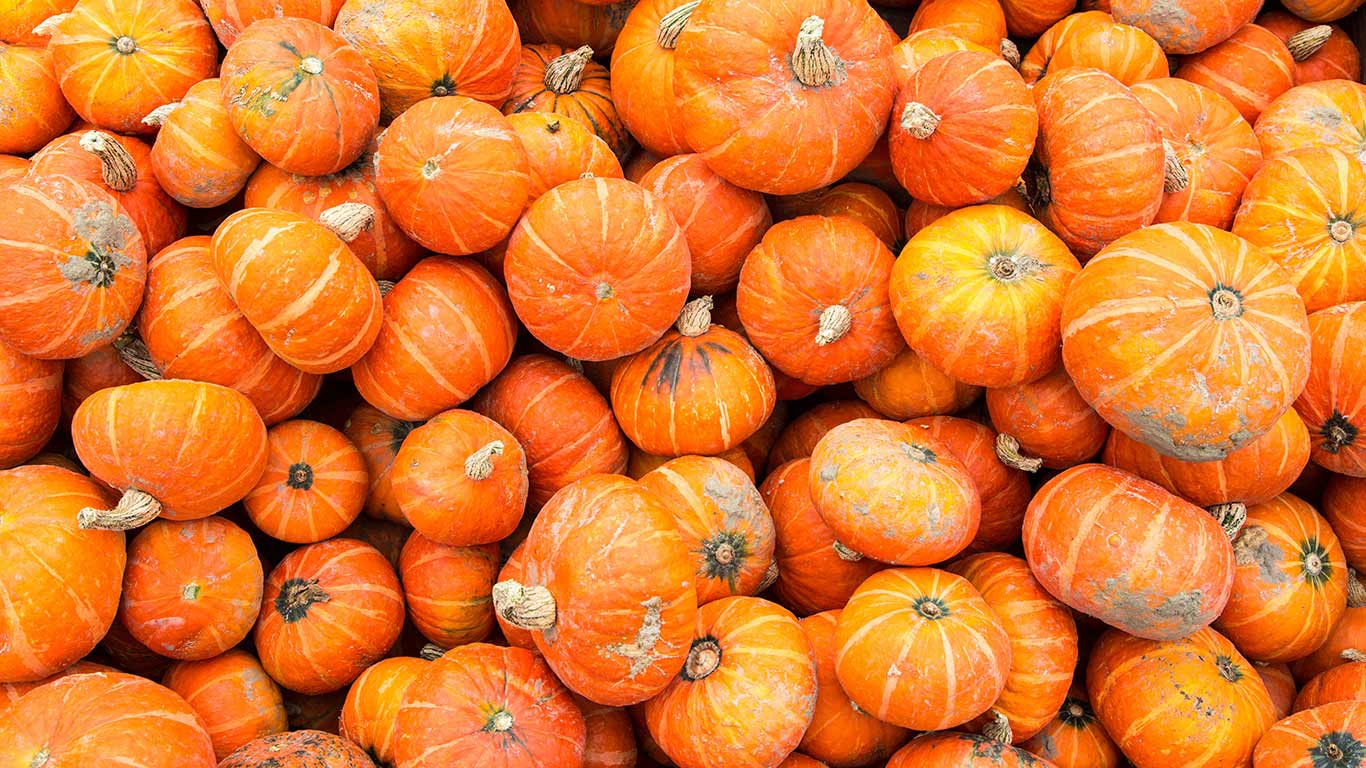 Sunshine Squash at a farm produce market (© 167/Pete Ryan/Ocean/Corbis)(Bing Canada)