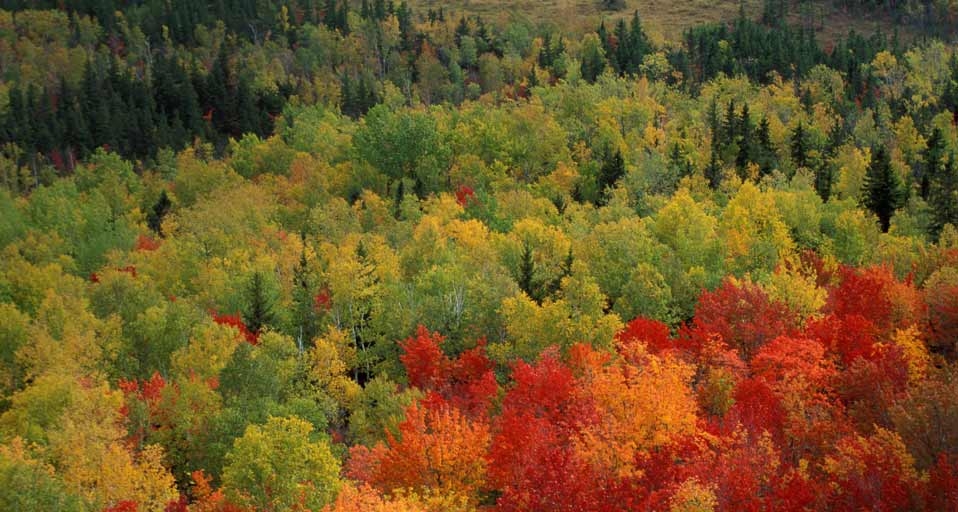 美国巴克斯特国家公园 (© Jerry and Marcy Monkman/Aurora) &copy; (Bing China)