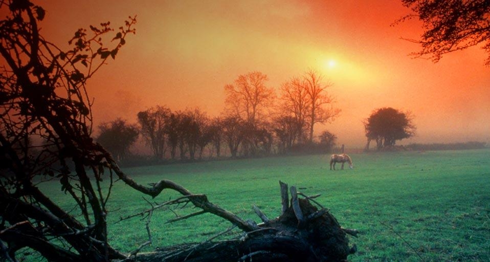 Sunrise over a meadow near Swansea, Wales (© Farrell Grehan/Photo Researchers) &copy; (Bing United Kingdom)