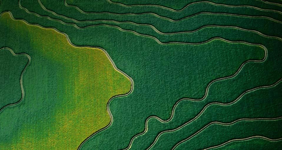 Aerial view of cultivated fields in Arizona, U.S.A. (© Jim Wark/Lonely Planet) &copy; (Bing Canada)