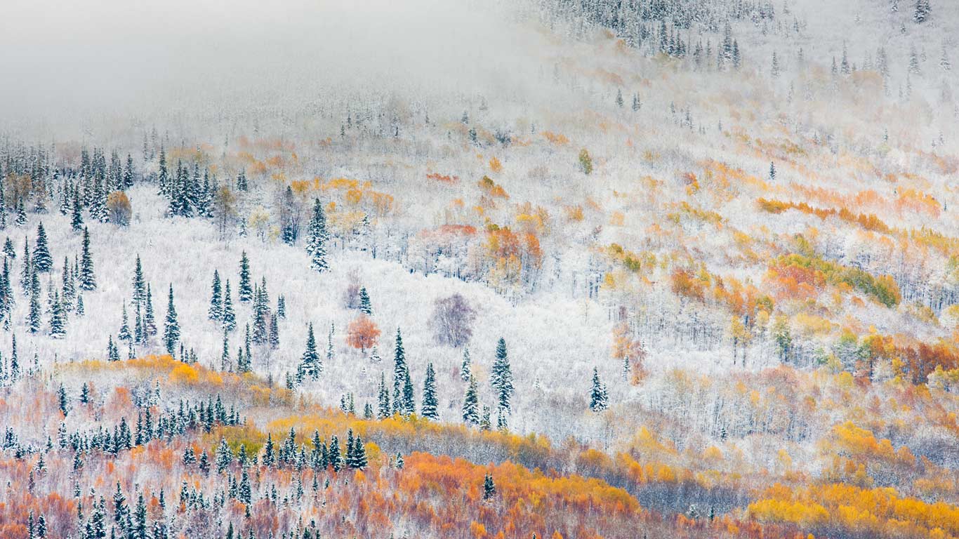 Early snowfall near Fairbanks, Alaska (© Patrick Endres/plainpicture)(Bing United Kingdom)
