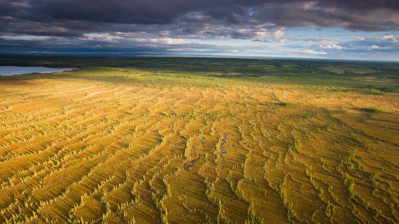 Fen located near McClelland, north of Fort McMurray, Canada. (© Peter Essick/Aurora Photos)(Bing Canada)