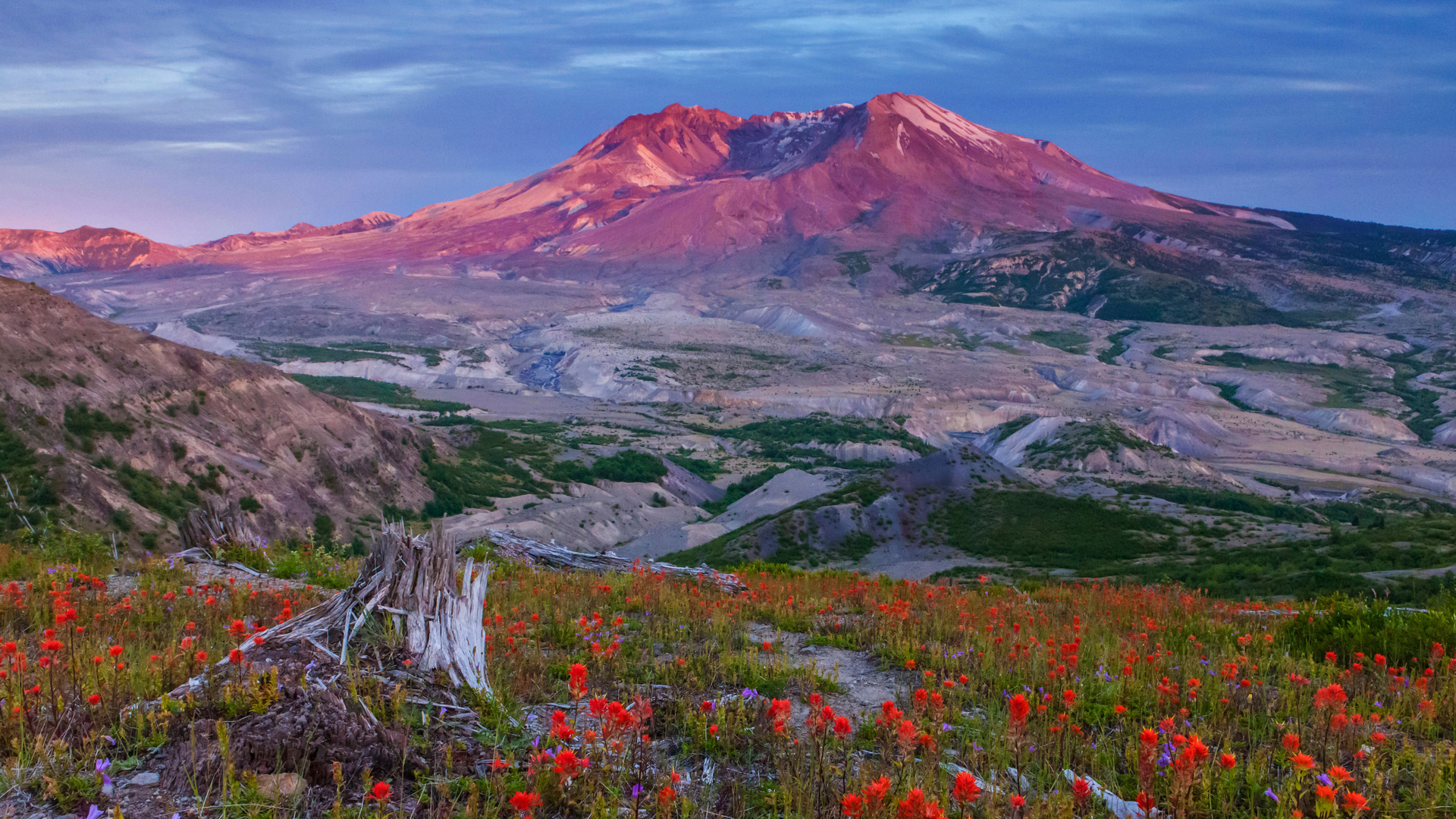 Boundary Trail in Mount St. Helens National Volcanic Monument, Washington (© Don Geyer/Alamy)(Bing Canada)