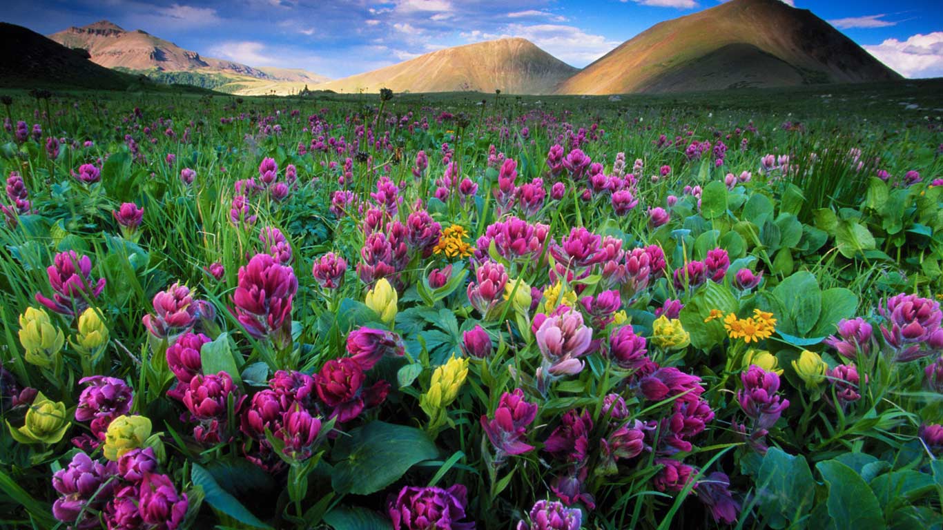 Zone d’American Lakes dans le State Forest State Park, Colorado, États-Unis (© Gallery Stock)(Bing France)
