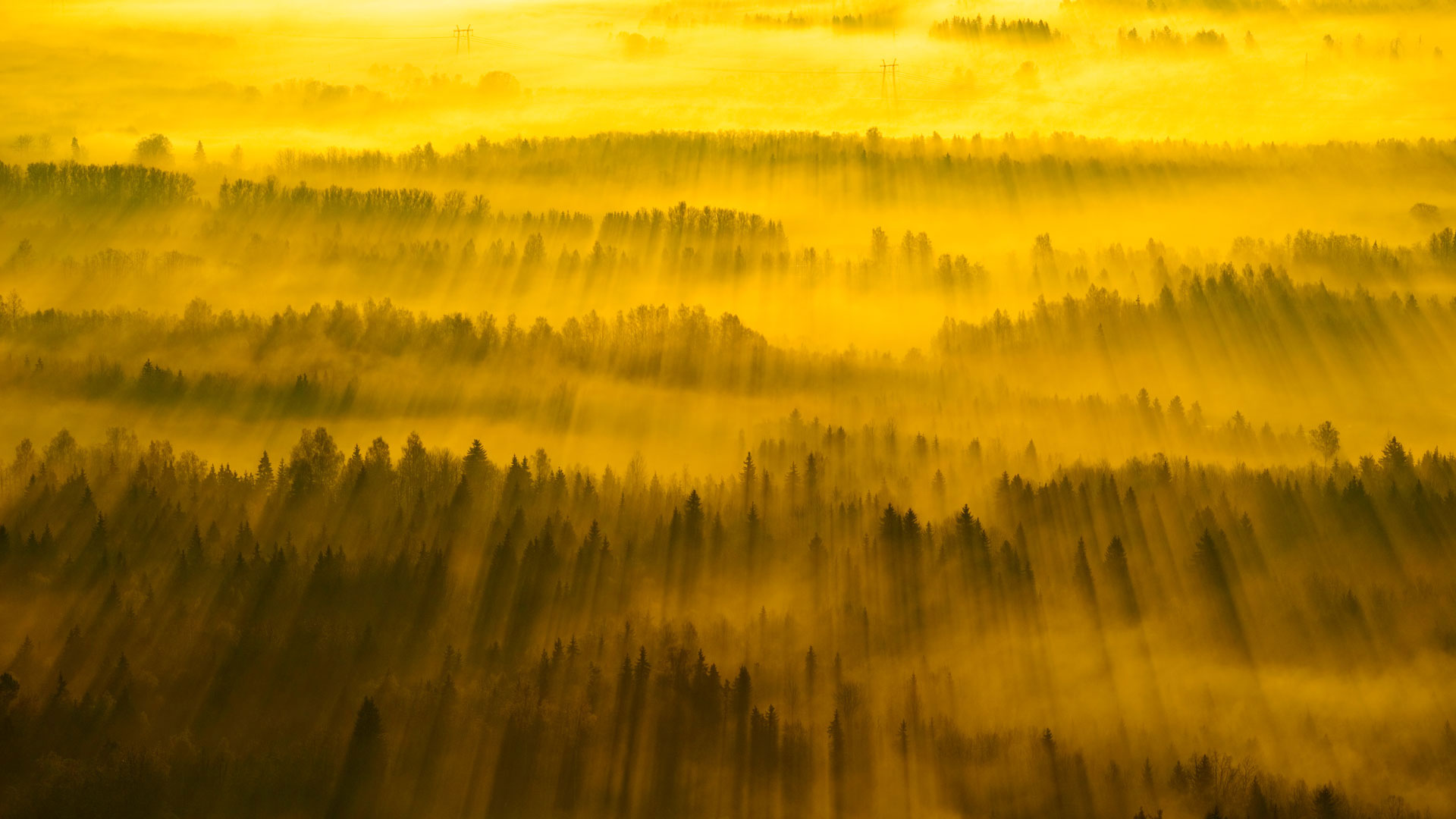 Sunbeams across Tartu County, Estonia (© Sven Zacek/Minden Pictures)(Bing United Kingdom)