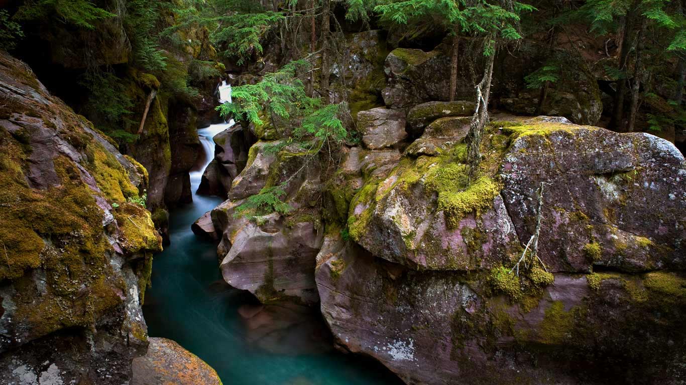 Avalanche Creek in Glacier National Park, Montana, USA (© Ian Shive/Tandem Stills + Motion)(Bing United Kingdom)