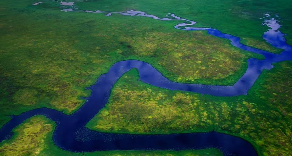 Meandering river near Cook Inlet, Anchorage, Alaska -- Patrick J. Endres/Visuals Unlimited, Inc. &copy; (Bing Canada)