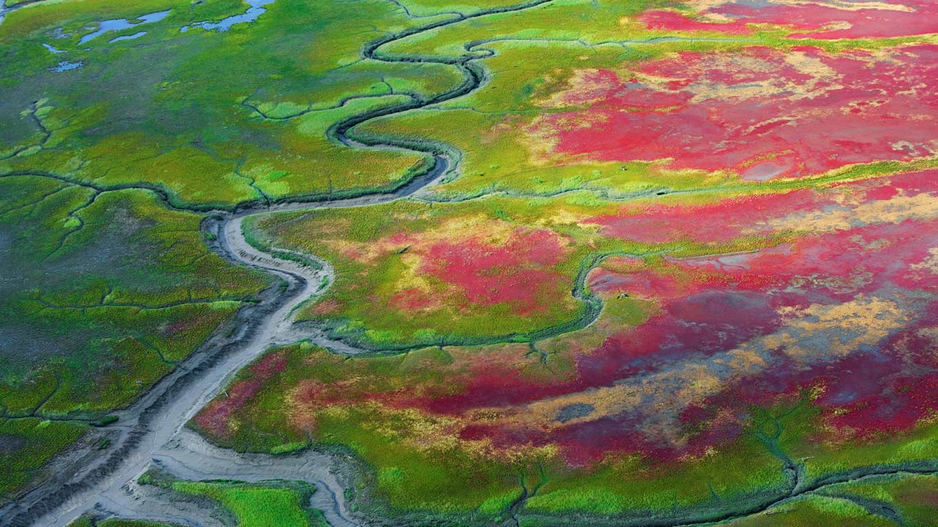 Tidal flats, Katmai National Park, Alaska, USA (© plainpicture/Cultura)(Bing United Kingdom)