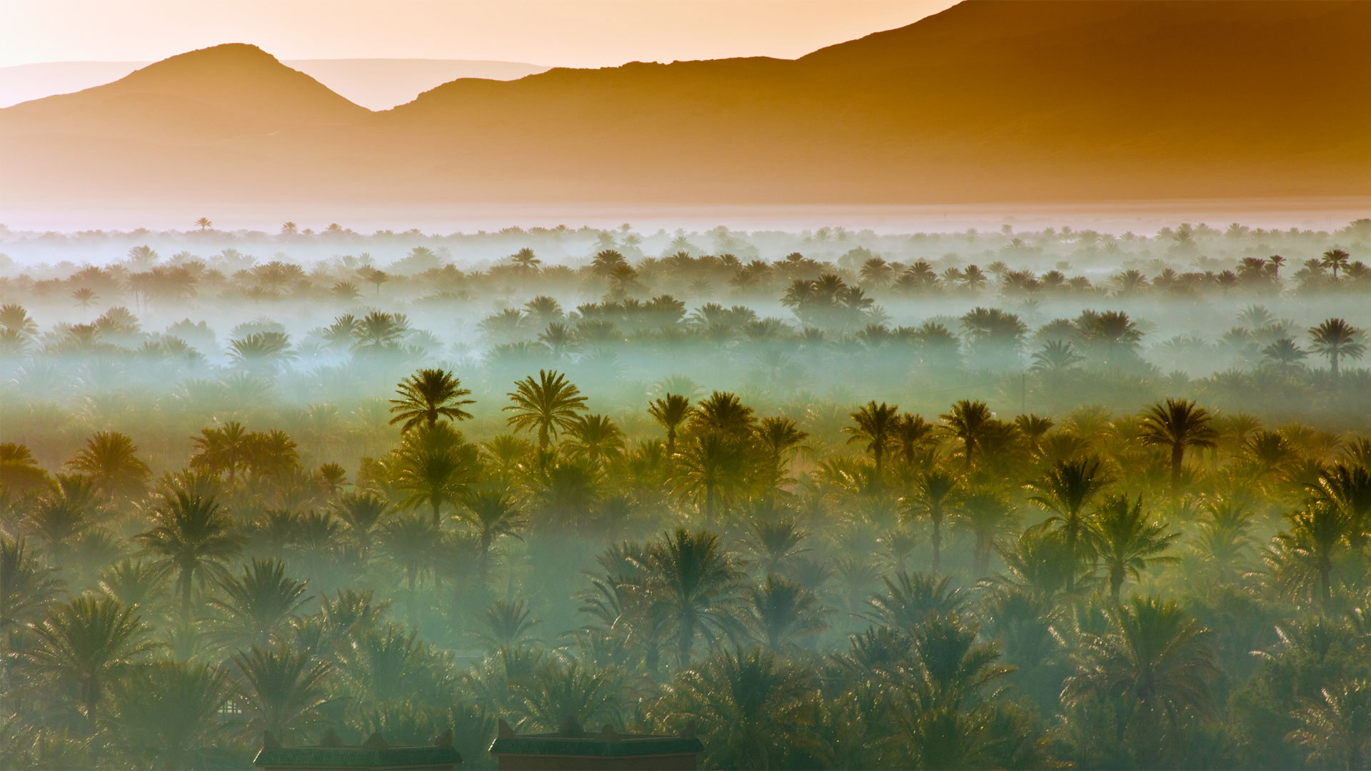 Date palm groves near Zagora, Morocco (© Frans Lemmens/Getty Images)(Bing United Kingdom)