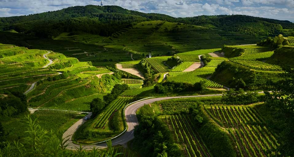Vineyards and winding roads in the Kaiserstuhl region of Germany -- Andreas Wonisch/Getty Images &copy; (Bing United States)
