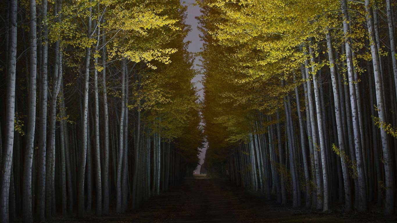 Boardman Tree Farm in Boardman, Oregon (© Garret Suhrie/REX/Shutterstock)(Bing Canada)