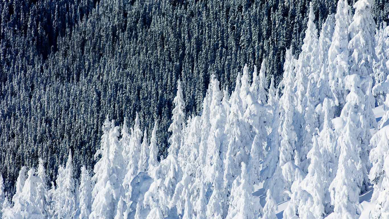 Whistler Mountain in British Columbia, Canada (© Phil Tifo/Tandem Stills + Motion)(Bing United States)