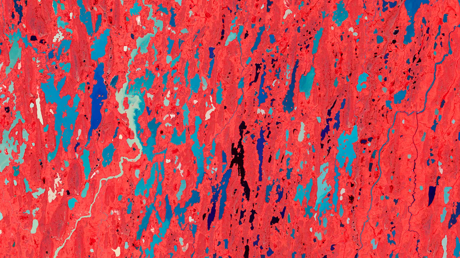 Wetlands in the Kitikmeot region of Nunavut (© Robert Simmon/NASA)(Bing Canada)