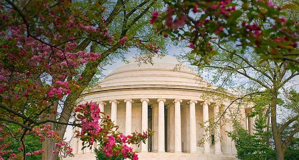 Cherry blossoms frame the Jefferson Memorial in Washington, D.C., U.S.A. (© Degree/eStock Photo) &copy; (Bing Canada)