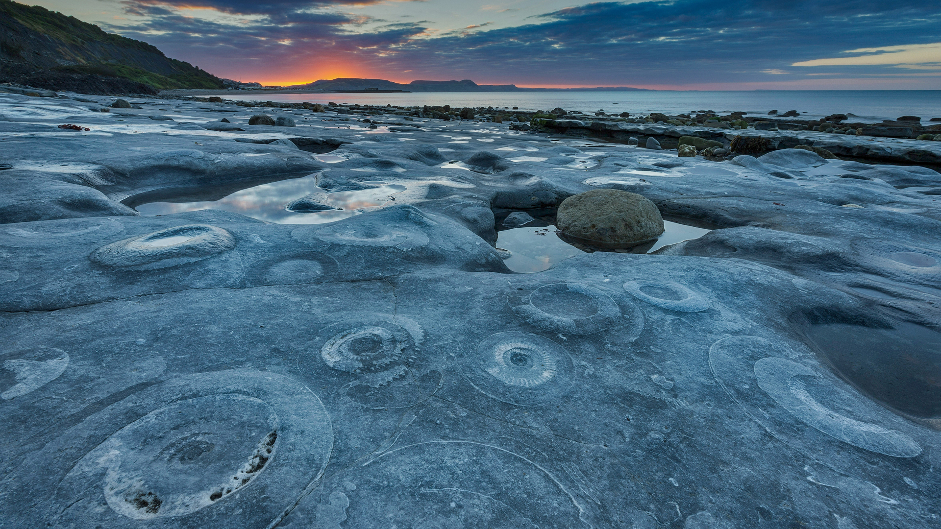 Ammonite Pavement at Monmouth Beach, Jurassic Coast World Heritage Site, Dorset, England (© AWL Images/Danita Delimont)(Bing Canada)