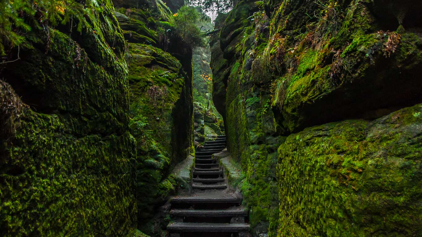 Saxon Switzerland National Park, Germany (© Andreas Vogel/500px)(Bing United Kingdom)