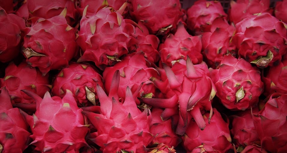 Pink dragon fruit (© Asia Images Group/Photolibrary) &copy; (Bing United Kingdom)