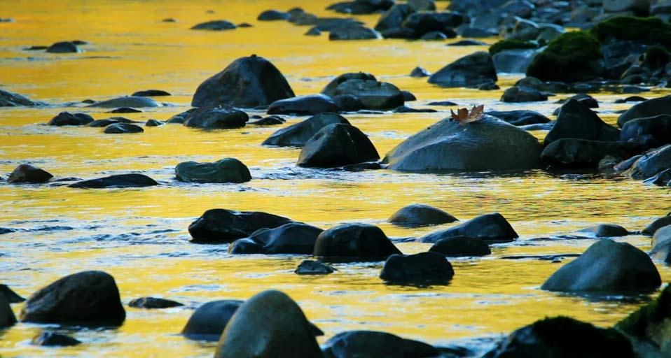 Stillaguamish River of Mt. Baker-Snoqualmie National Forest, Washington, USA (© Stephen Matera) &copy; (Bing United Kingdom)