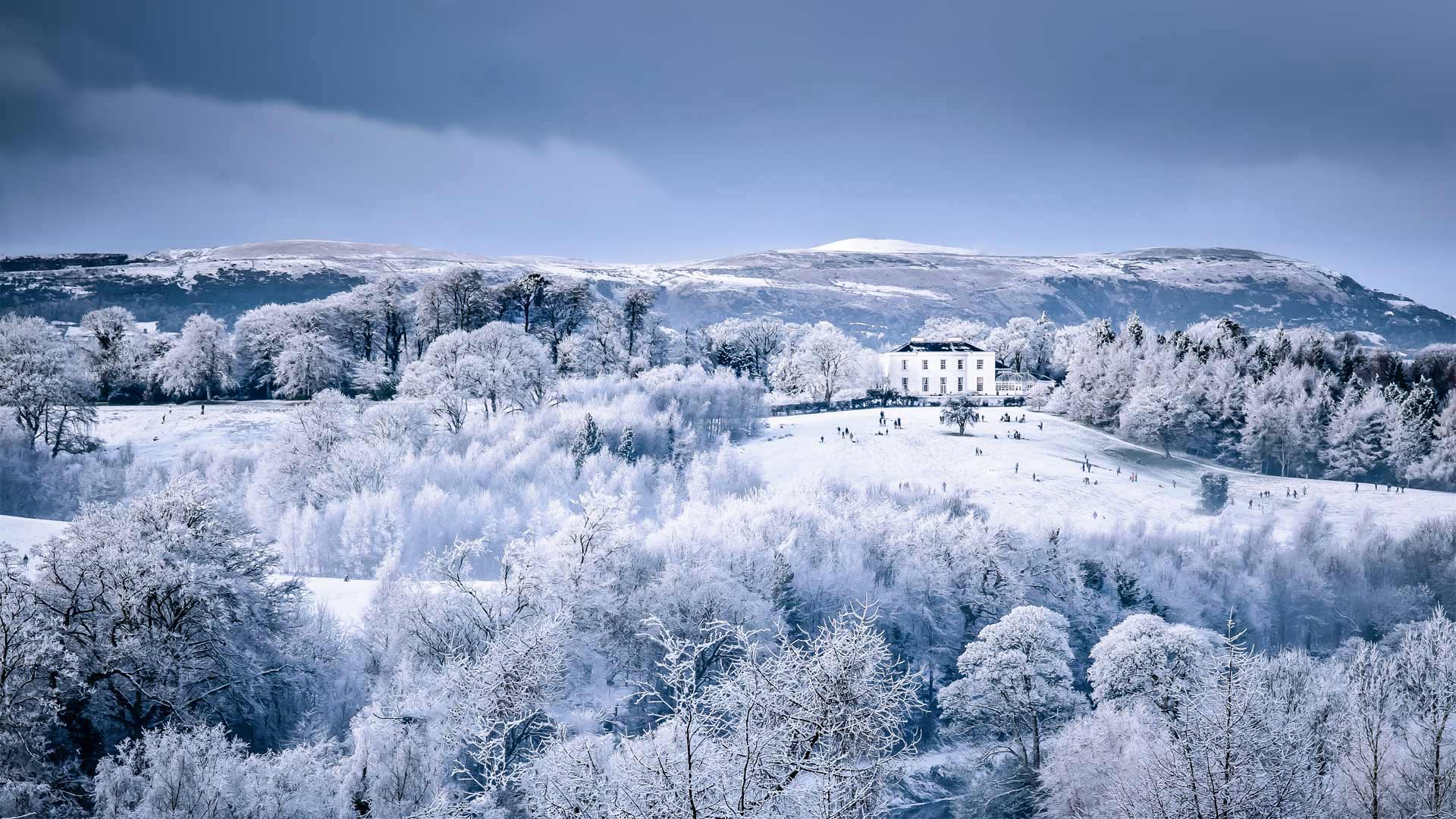 Families play on the snow-covered slopes at Barnett Demesne Park, Belfast (© Stephen Barnes/Alamy)(Bing United Kingdom)