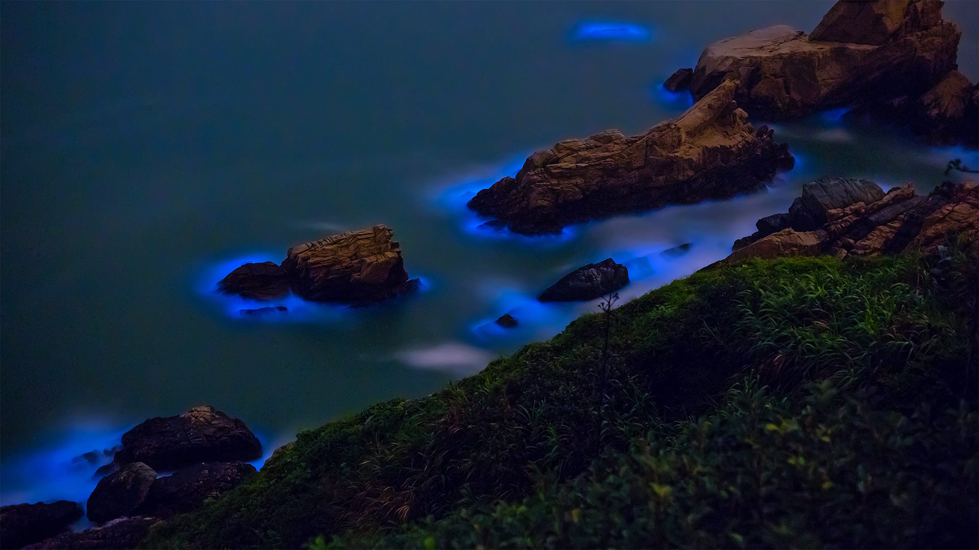 Bioluminescent algae along the shores of the Matsu Islands off the coast of Taiwan (© Wan Ru Chen/Getty Images)(Bing United Kingdom)