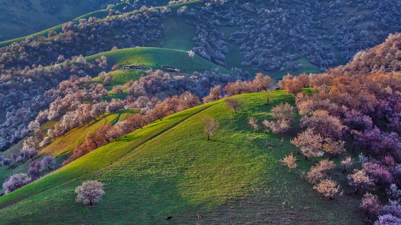 Xinyuan County, China (© Danny Hu/Getty Images)(Bing United Kingdom)