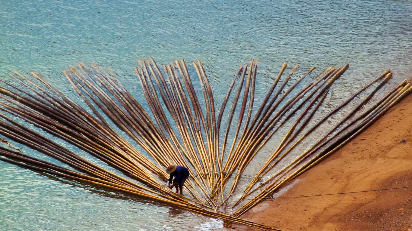 海水养殖用竹 (© zhouyousifang/Flickr/Getty Images)(Bing China)