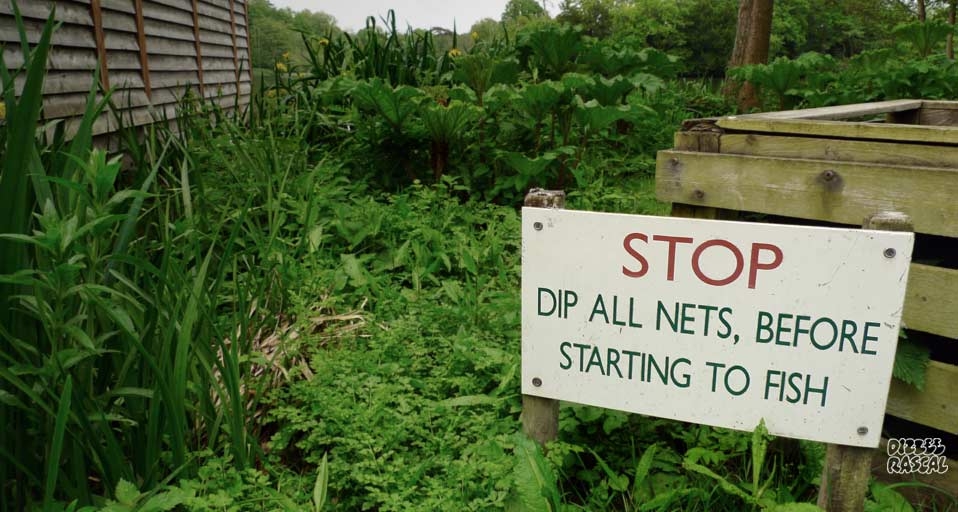 Bury Hill Fishery, Dorking, Surrey – Dizzee Rascal &copy; (Bing United Kingdom)