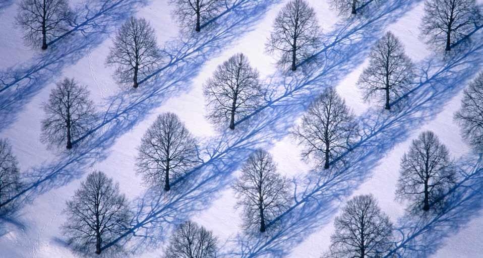 Trees in winter landscape (© Klaus Leidorf/Corbis) &copy; (Bing United Kingdom)