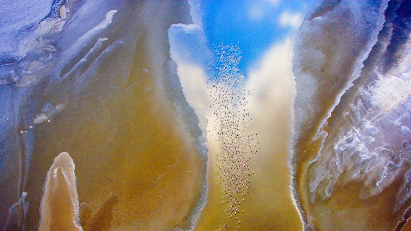 Lesser flamingos on Lake Natron in Tanzania (© Art Wolfe/Alamy)(Bing United States)