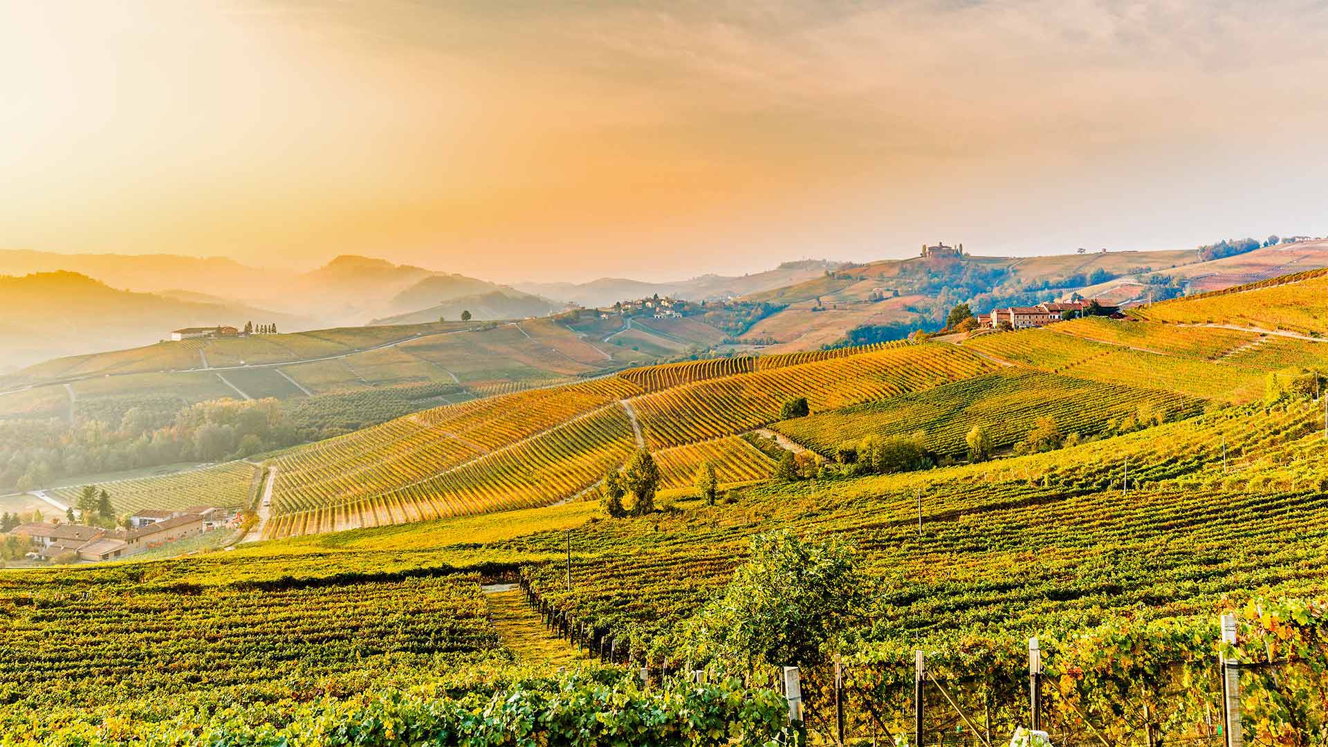 The hills of Barolo vineyards in Piedmont, Italy (© Marco Arduino/eStock Photo)(Bing United Kingdom)