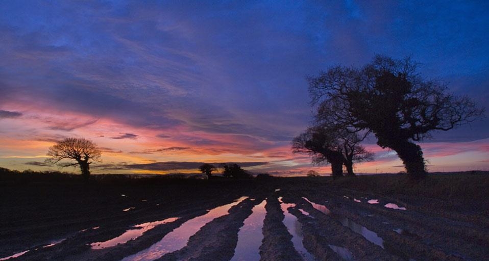 Oaks and flooded fields, Norfolk, England (© Ernie Janes/Age Fotostock) &copy; (Bing United Kingdom)